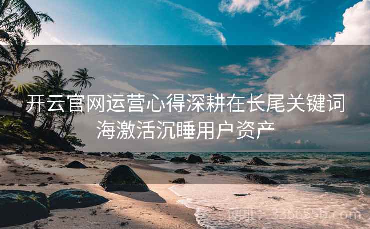 开云官网运营心得深耕在长尾关键词海激活沉睡用户资产 开云官网运营心得深耕在长尾关键词海激活沉睡用户资产