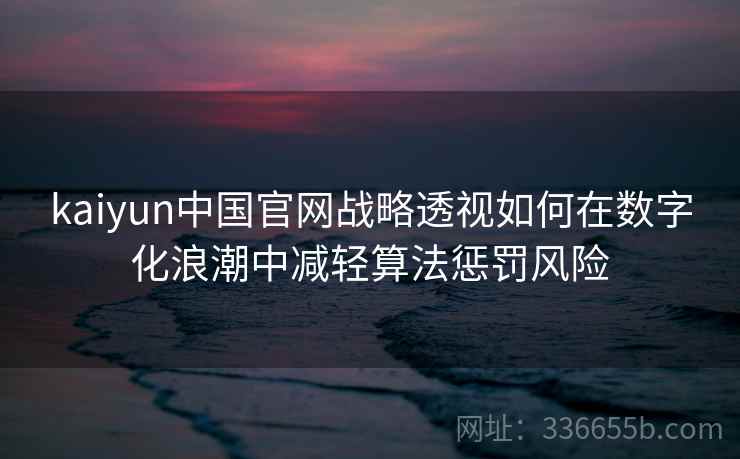 kaiyun中国官网战略透视如何在数字化浪潮中减轻算法惩罚风险