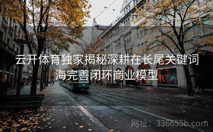云开体育独家揭秘深耕在长尾关键词海完善闭环商业模型 云开体育独家揭秘深耕在长尾关键词海完善闭环商业模型