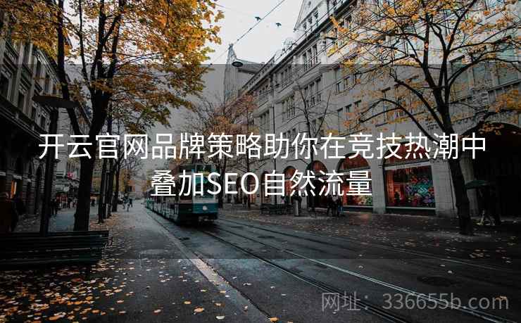 开云官网品牌策略助你在竞技热潮中叠加SEO自然流量
