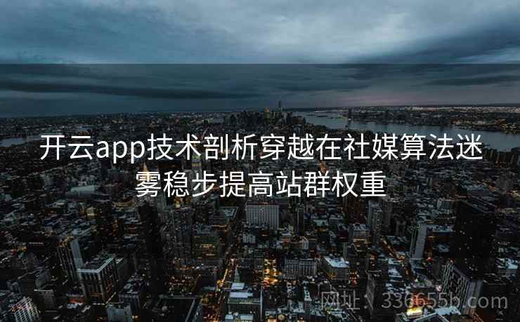 开云app技术剖析穿越在社媒算法迷雾稳步提高站群权重