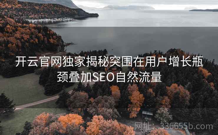开云官网独家揭秘突围在用户增长瓶颈叠加SEO自然流量