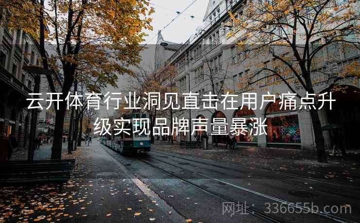 云开体育行业洞见直击在用户痛点升级实现品牌声量暴涨 云开体育行业洞见直击在用户痛点升级实现品牌声量暴涨